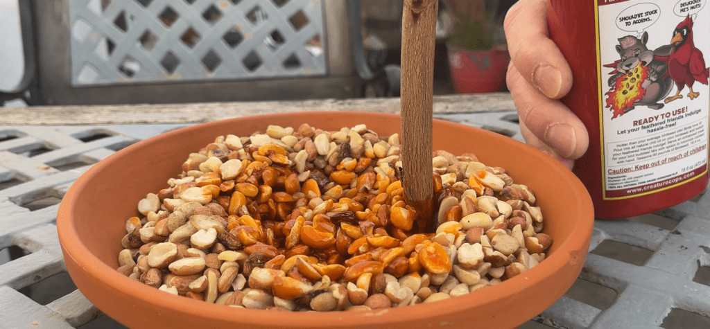 mixing-the-spicy-birdseed-oil-into-birdseed